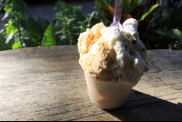        deelite chocolate chip sweet milk 
  - Costa Rica