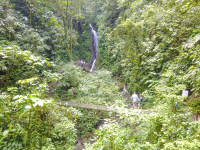        Blue Morpho Waterfall With People Arenal Hanging Bridges Mistico Park
  - Costa Rica