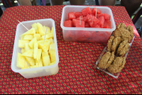        fruit and oatmeal cookies wingnuts tour 
  - Costa Rica