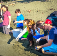        Releasing Baby Turtles Turtle Hatching At Piro Beach Costa Rica
  - Costa Rica