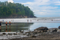        Ventanas Beach Ocean Waterfall Tour Manuel Antonio
  - Costa Rica