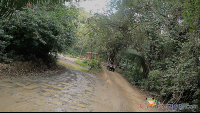        atv nosara tour on the other side of the bridge
  - Costa Rica