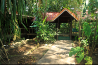        pachira lodge bungalows 
  - Costa Rica