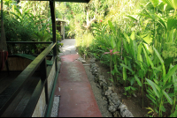        casa verde walkway 
  - Costa Rica