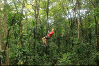        evergreen lodge canopy tour 
  - Costa Rica