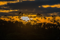        Sunset In Sierpe
  - Costa Rica