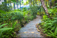        La Leona Gravel Paths Costa Rica
  - Costa Rica
