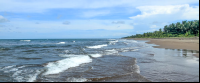        tortuguero beach attraction long view 
  - Costa Rica