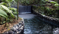        ecotermales 
  - Costa Rica