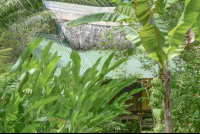        Cabin Front At Finca Exotica Carate
  - Costa Rica