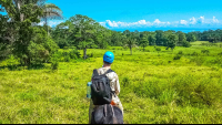        Green Pastures Horseback Rapelling Tour Rancho Tropical Matapalo
  - Costa Rica