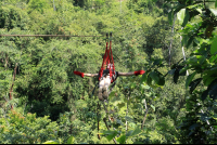        jungle adventure superman 
  - Costa Rica