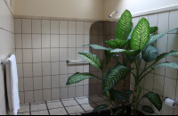        arenal manoa bathroom 
  - Costa Rica
