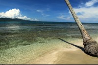        sb pv p beaches playa chino palm 
  - Costa Rica