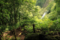        bijagual tour hike 
  - Costa Rica