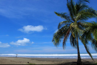        hotel bejuco beach 
  - Costa Rica