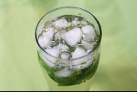        mojito hotel puertocarrillo 
  - Costa Rica