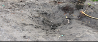        tortuguero beach attraction sea turtle nest 
  - Costa Rica