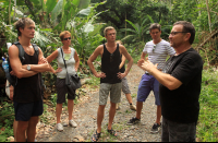        caribeans jeff explains it all 
  - Costa Rica