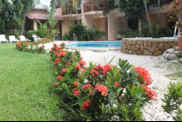        flowers in walkway hotelgiada 
  - Costa Rica