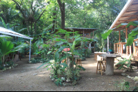        casa del mar hostel grounds 
  - Costa Rica
