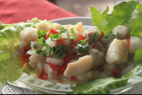        red snapper ceviche lagarta lodge
  - Costa Rica