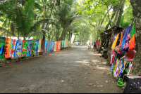        surf shak dominical 
  - Costa Rica