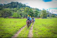        Starting The Horseback Ride Tour At Rancho Tropical
  - Costa Rica