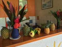        Fresh Fruits On Counter Sol Samara
  - Costa Rica