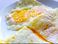        Fried Eggs Tranquilo Lodge
  - Costa Rica
