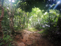        biesandz beach trail 
  - Costa Rica