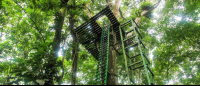        senderos aerios canopy tour st platform 
  - Costa Rica