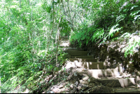        Steps Toward The Montezuma Waterfall
  - Costa Rica