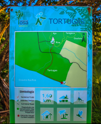        map turtle hatching at piro beach costa rica  
  - Costa Rica