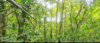        senderos aerios canopy tour zipline 
  - Costa Rica