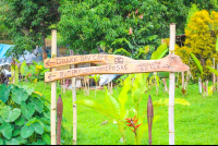        Drake Bay Cafe Town Sign
  - Costa Rica