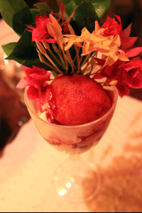        exotica cool passion sorbet 
  - Costa Rica