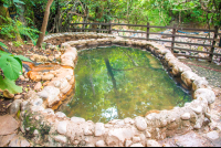        View Of Cement Pool With A Fence Hot Springs Pools Rincon De La Vieja
  - Costa Rica