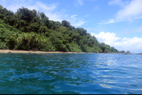        dominical surf dive snorkel cano closeup 
  - Costa Rica