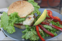        organic chickenbreast sandwich samaraorganics 
  - Costa Rica