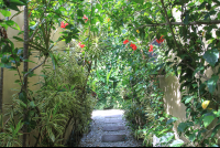        path to apartments hotel nautilius santa teresa 
  - Costa Rica