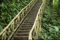        Step Trail To Celeteste River Waterfall
  - Costa Rica