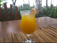        Orange Juice Shambala Restaurant
  - Costa Rica