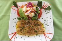        fish filet and mixed salad hotepuertocarrilo 
  - Costa Rica