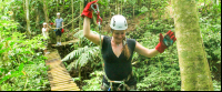        jungle adventure bridge 
  - Costa Rica