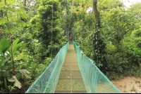        la foresta nature resort trails 
  - Costa Rica