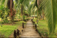        pizote lodge path 
  - Costa Rica