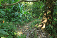        kekoldi reserve attraction trail 
  - Costa Rica