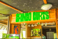        kitchen gringo curts restaurant 
  - Costa Rica
