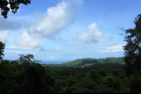        los suenos canopy view 
  - Costa Rica